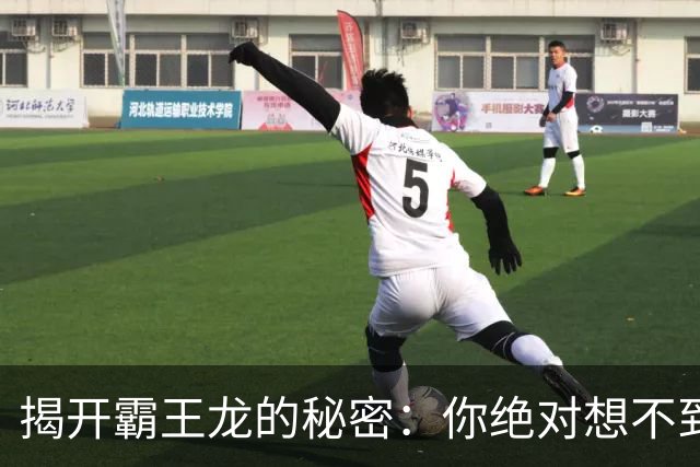 揭开霸王龙的秘密：你绝对想不到的“热”情